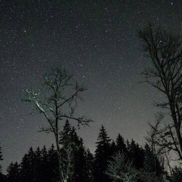 Mennyei élvezetek: Csillagos bemutatót kínál a februári éjszakai égbolt