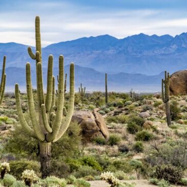 Vízum Arizona számára
